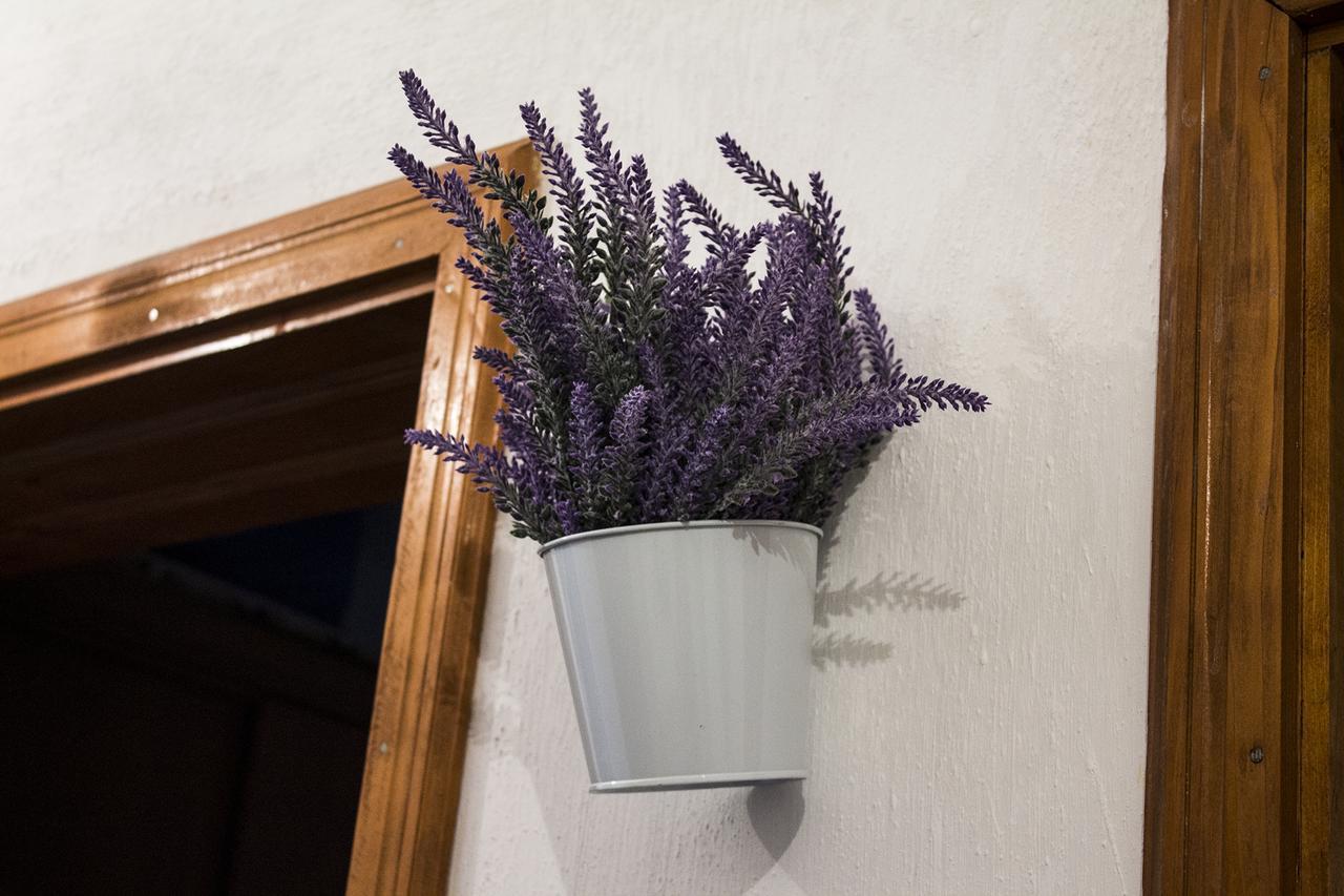 Dreznjak Kuca Lavanda מראה חיצוני תמונה