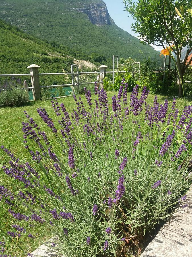 Dreznjak Kuca Lavanda מראה חיצוני תמונה
