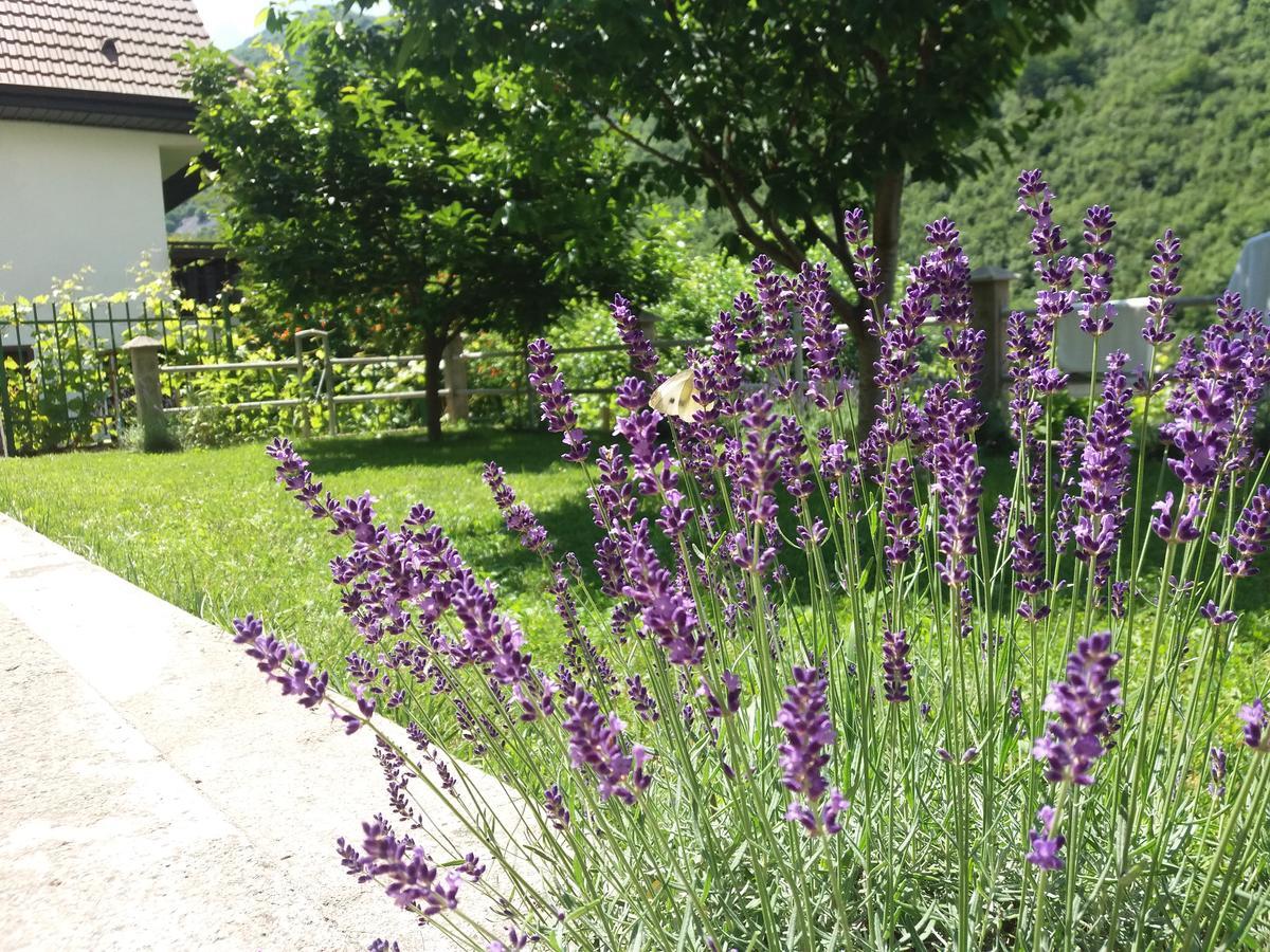 Dreznjak Kuca Lavanda מראה חיצוני תמונה